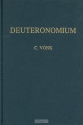 Productafbeelding Voorzeide leer i heilige schrift cb deuter