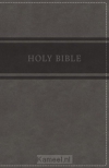 Productafbeelding KJV - Deluxe Gift Bible, Grey Imit. Leat