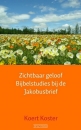 Productafbeelding Zichtbaar geloof