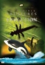 Productafbeelding Incredible creatures that defy evolution DVD - 2