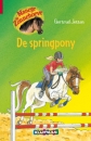 Productafbeelding Manege De Zonnehoeve - De Springpony