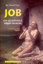 Productafbeelding Job een geloofsheld strijdt om recht