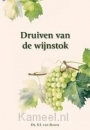 Productafbeelding Druiven van de wijnstok