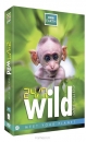 Productafbeelding DVD 24/7 Wild earth live