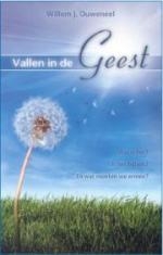 Productafbeelding Vallen in de Geest