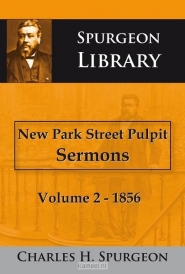 Productafbeelding New park street pulput sermons vol 2