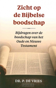 Productafbeelding Zicht op de bijbelse boodschap